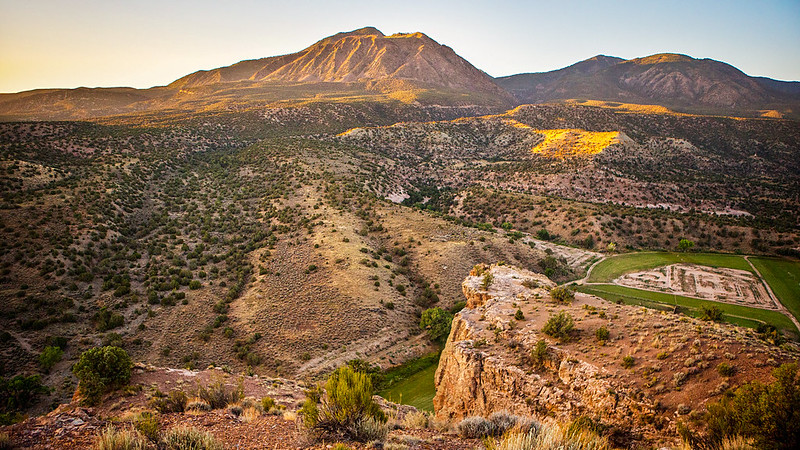 Landscape Palisade Courtesy Photo