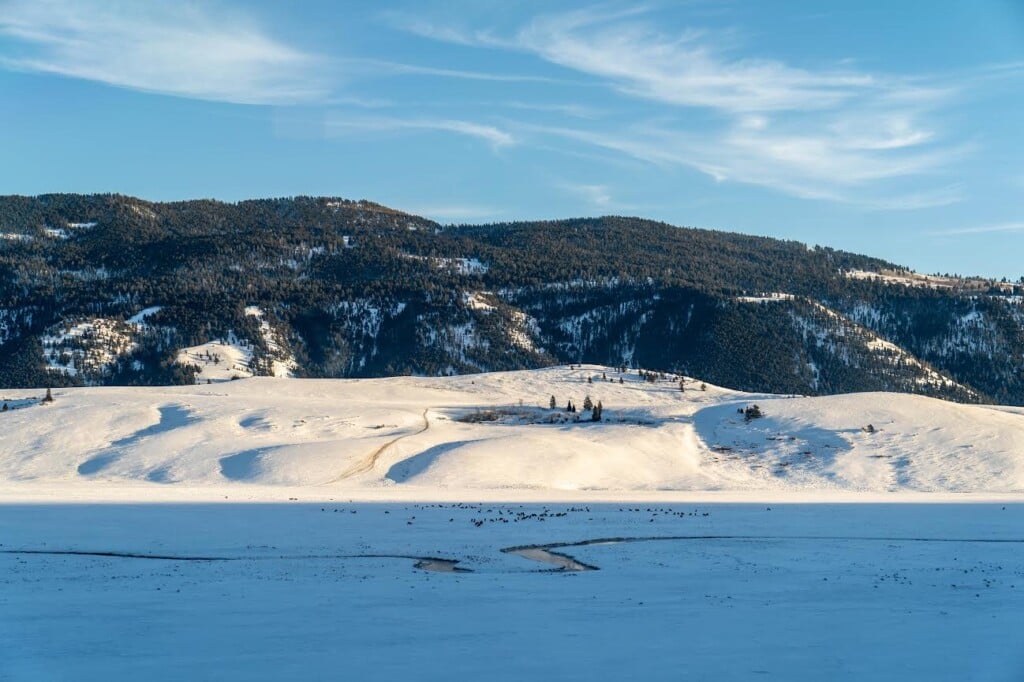 National Museum Of Wildlife Art Of The United States 2