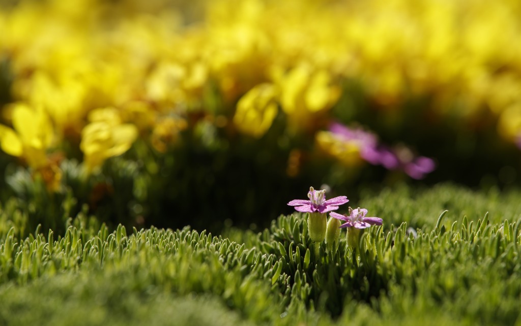 Toddwinslowpierce Bfag 2048